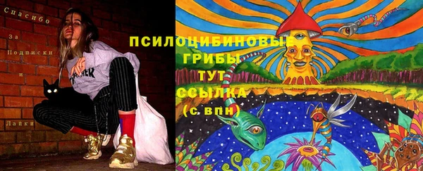 гашик Нязепетровск